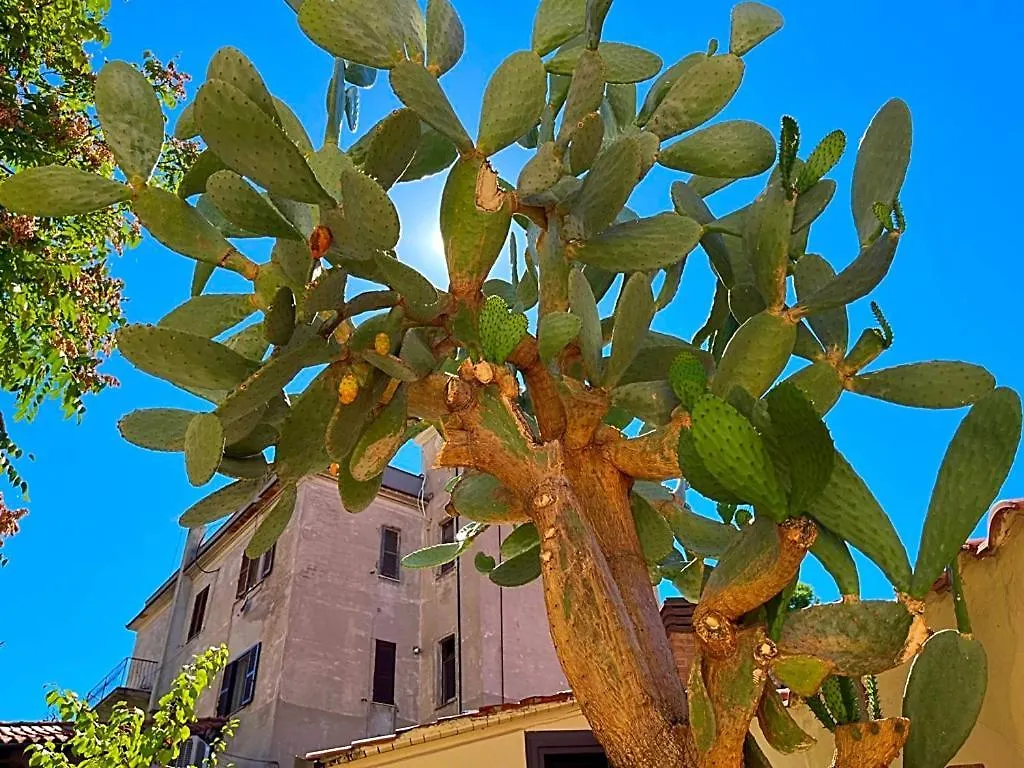 Apartament Ltpanella Rose Flat Rzym